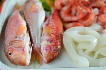fresh fish