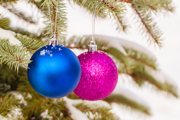 Fototapeta na wymiar Blue and purple Christmas-tree toys on the snowy branches