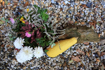 Kwiaty, dynia i kamień na kolorowych kamieniach w ogrodzie. - obrazy, fototapety, plakaty
