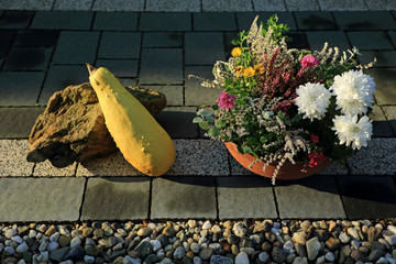 Kwiaty, dynia i kamień na chodniku z kostki w ogrodzie. - obrazy, fototapety, plakaty