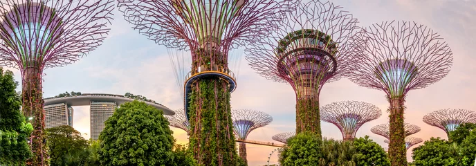 Rolgordijnen Jardins de Singapour © jasckal
