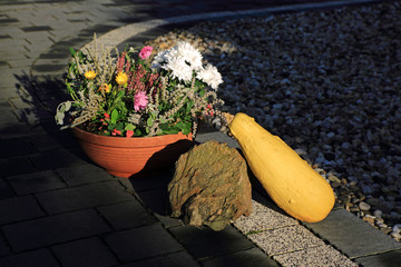 Obrazy na Plexi  Kwiaty, dynia i kamień na chodniku z kostki w ogrodzie.