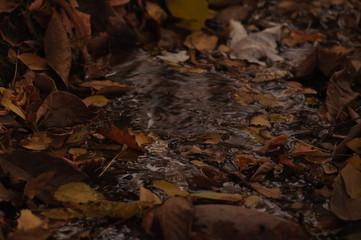 Autumn is a great time.