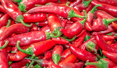 Red chili pepper as background