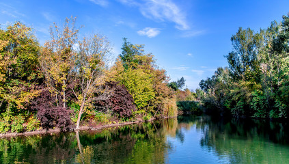 Pond in the park autumn landscape