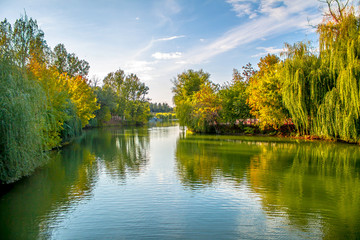 Pond in the park autumn landscape