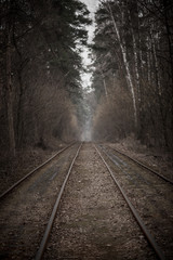 Tram rails in the autumn forest, vintage hipster background. Travel, freedom and hope concept.