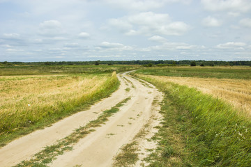 Fototapeta na wymiar Wide road through the field