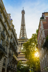 View of the Eiffel Tower in Paris between haussmannian buildings with the setting sun bursting through the foliage of a tree.