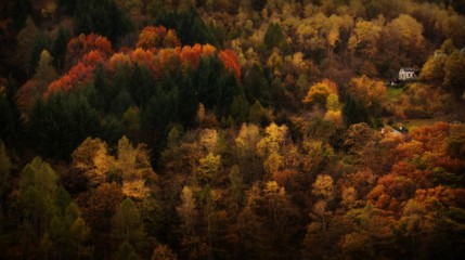 Fototapeta na wymiar Montagna svizzera in autunno