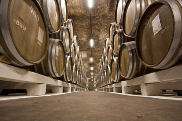 Wine cellar with barrels