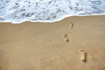 Footprints in the sand go to the sea