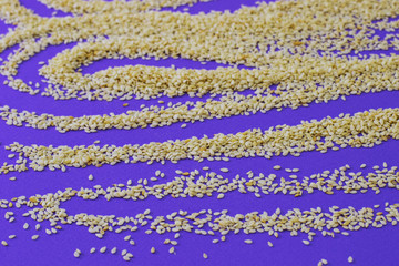 pile of white sesame on violet background