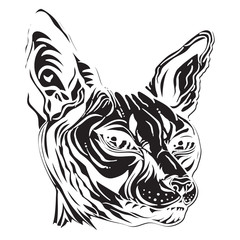 sketch of a cat's head. Black and white Portrait of a Sphinx cat. Hand drawn cat breed Sphinx. Hairless naked cat. Graphic vector illustration.