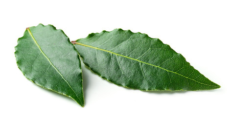 Fresh bay leaves