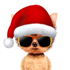 Funny Dog wearing Santa hat and sunglasses
