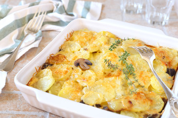 Vegetable gratin with potatoes, mushrooms and cheese
