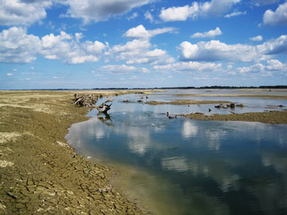 Fototapeta na wymiar Dry river Drave