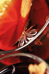 close-up of spices