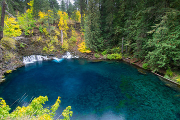 Tamolitch Blue Pool Autumn