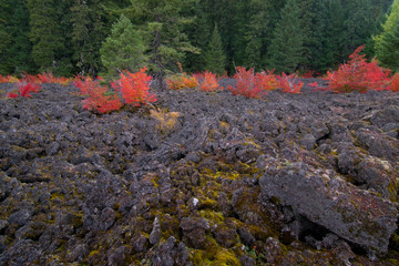 Fall Lava Rocks