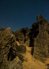 Moonlit Beach Landscape