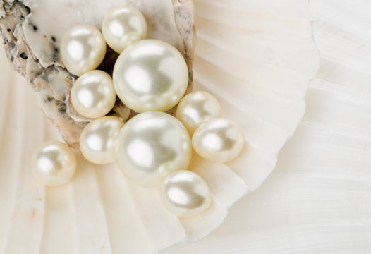 Pearls in sea shell close up