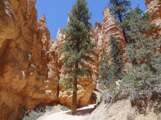 Bryce Canyon National Park