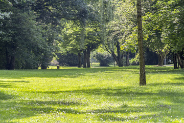 idyllic park scenery