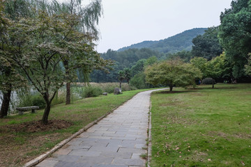 An empty path through the park in the summer day