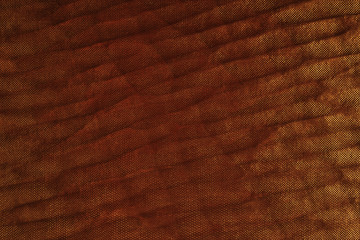 Abstract texture background surface. Can be use as background texture or wallpaper.