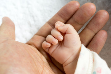 Newborn baby touching his father hand