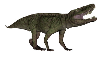Fototapeta premium Ryk dinozaura Batrachotomus - renderowanie 3D