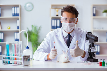 Vet doctor examining rabbit in pet hospital