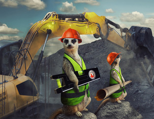 Two funny suricates constructor workers holding building level and project plan with an excavator on the background photo.