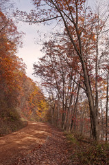 Naklejka na ściany i meble A winding dirt road through the woods in the fall