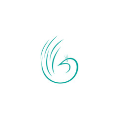 Fototapeta na wymiar peacock logo template