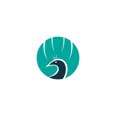 peacock logo template