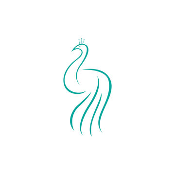 Peacock Logo Template