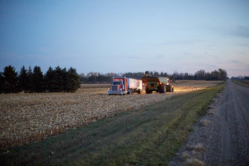 Fototapeta premium Farmers working at night to harvest the maize crop