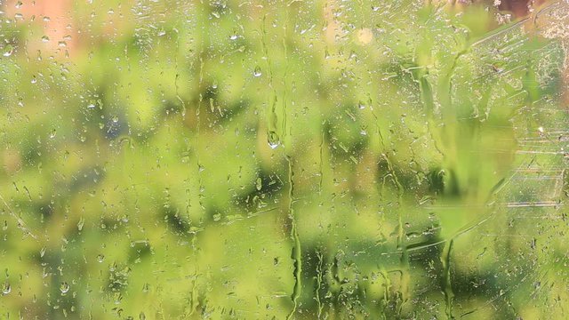 Rainy day in fall. The raindrops on house window glass. Focus on rain drops running down the window, large green tree leaves background blurred, close up