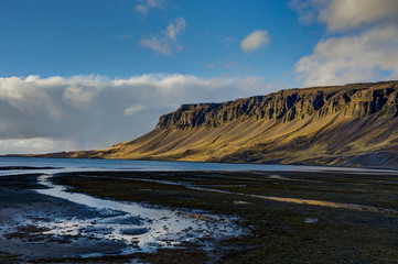 Meadows with black beach in Iceland during golden hour sunset