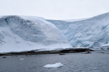 antartic