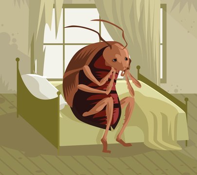 Kafka Metamorphosis Cockroach