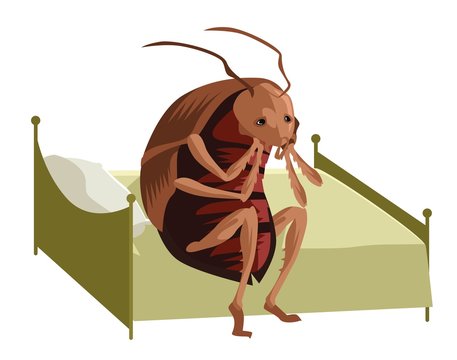 Kafka Metamorphosis Cockroach