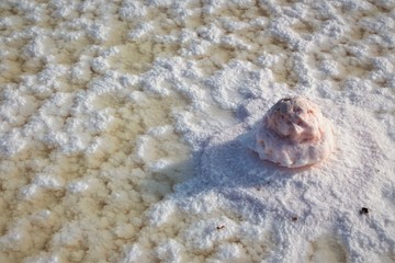 El Sol del Rey, salt formation