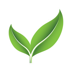 Logo design for green leaves