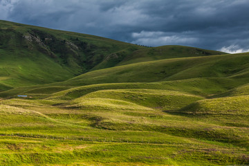 Fototapeta na wymiar grassland in Xinjiang