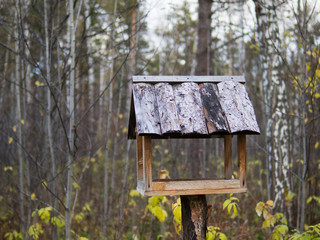 A birdhouse in the forest. A picture of a birdhouse on a tree.