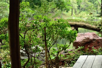 六義園 涼しげな和の風景